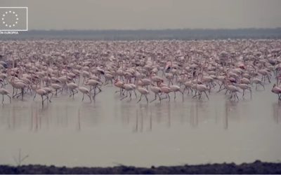 Estreno del documental «El último oasis»